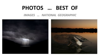 PHOTOS … BEST OF
IMAGES … NATIONAL GEOGRAPHIC
 