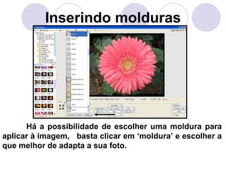 Inserindo molduras




      Há a possibilidade de escolher uma moldura para
aplicar à imagem, basta clicar em ‘moldura’ e escolher a
que melhor de adapta a sua foto.
 
