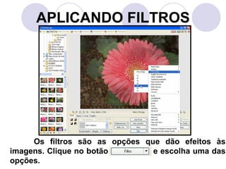 APLICANDO FILTROS




     Os filtros são as opções que dão efeitos às
imagens. Clique no botão        e escolha uma das
opções.
 