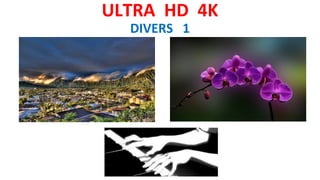 ULTRA HD 4K
DIVERS 1
 