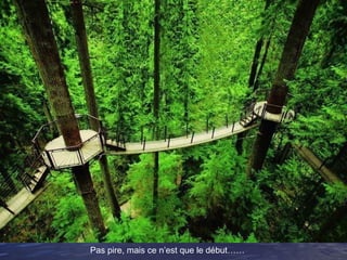 Pas pire, mais ce n’est que le début……
 