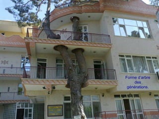 Forme d’arbre
des
générations.
 