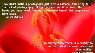 “You don't make a photograph just with a camera. You bring to
the act of photography all the pictures you have seen, the
books you have read, the music you have heard, the people you
have loved.”
― Ansel Adams

In photography there is a reality so
subtle that it becomes more real
than reality.

 