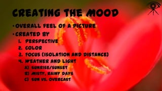 Creating the Mood
• Overall feel of a picture
• Created by
1.
2.
3.
4.

Perspective
Color
Focus (isolation and distance)
Weather and light
a) Sunrise/sunset
b) Misty, rainy days
c) Sun vs. overcast

 