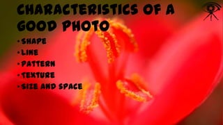Characteristics of a
good photo
• Shape
• Line
• Pattern
• Texture
• Size and space

 