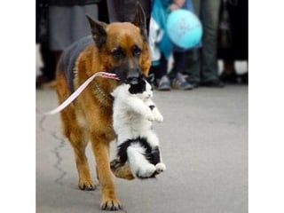 Photos exceptionnelles