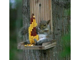 Photos exceptionnelles