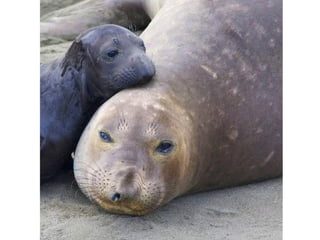 Photos exceptionnelles