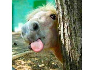 Photos exceptionnelles