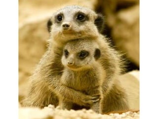 Photos exceptionnelles