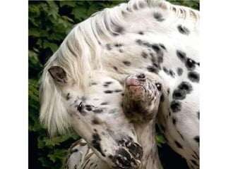 Photos exceptionnelles