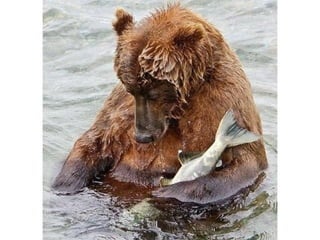 Photos exceptionnelles