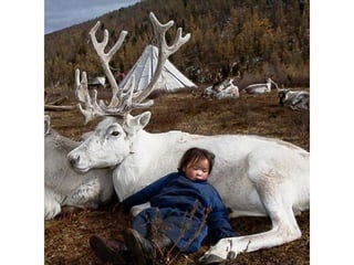 Photos exceptionnelles