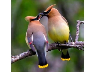 Photos exceptionnelles