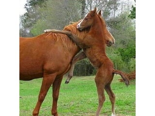 Photos exceptionnelles