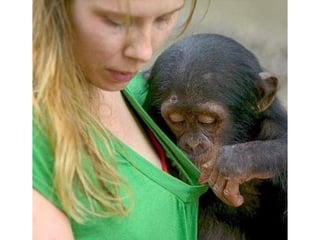 Photos exceptionnelles