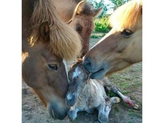 Photos exceptionnelles