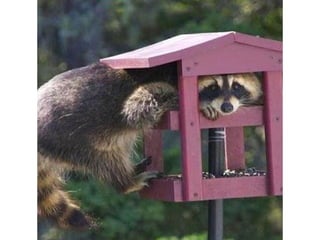 Photos exceptionnelles