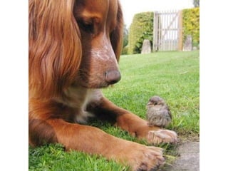 Photos exceptionnelles