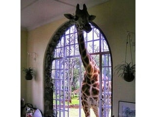 Photos exceptionnelles