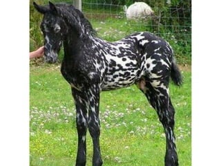 Photos exceptionnelles