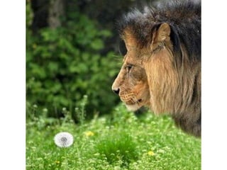 Photos exceptionnelles