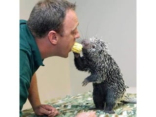 Photos exceptionnelles