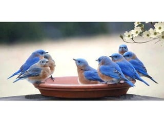 Photos exceptionnelles