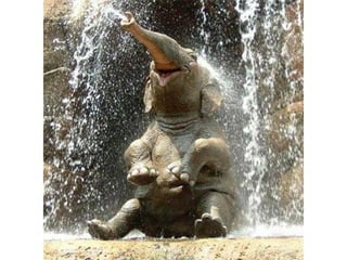 Photos exceptionnelles