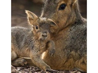 Photos exceptionnelles