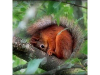 Photos exceptionnelles