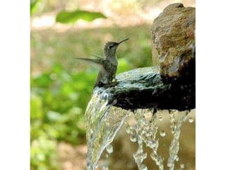 Photos exceptionnelles