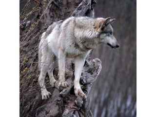 Photos exceptionnelles