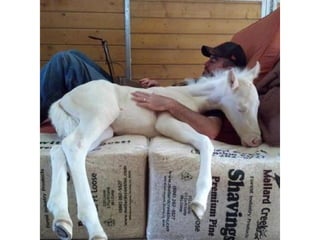 Photos exceptionnelles