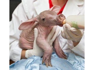 Photos exceptionnelles