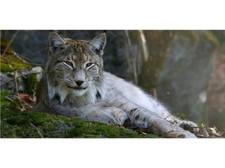 Photos exceptionnelles