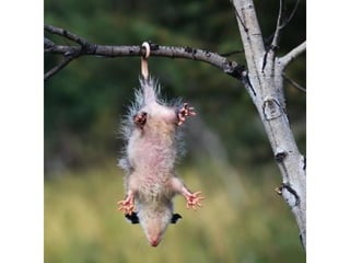 Photos exceptionnelles