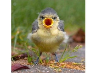 Photos exceptionnelles