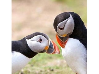 Photos exceptionnelles