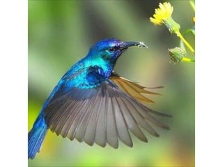 Photos exceptionnelles