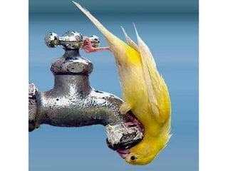 Photos exceptionnelles