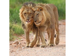 Photos exceptionnelles