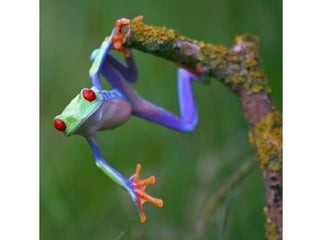 Photos exceptionnelles