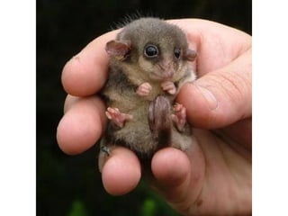 Photos exceptionnelles