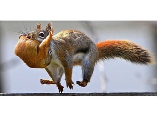 Photos exceptionnelles