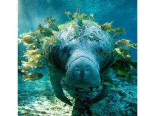 Photos exceptionnelles