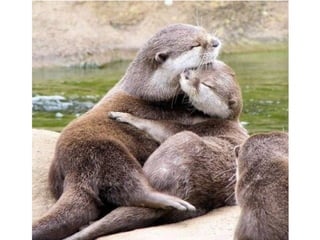 Photos exceptionnelles