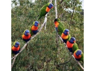 Photos exceptionnelles