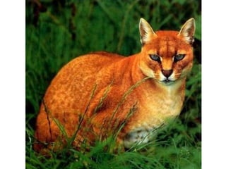 Photos exceptionnelles