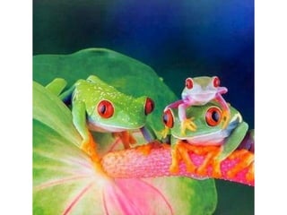 Photos exceptionnelles